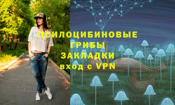 дмт Нея