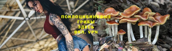 гашиш Алзамай