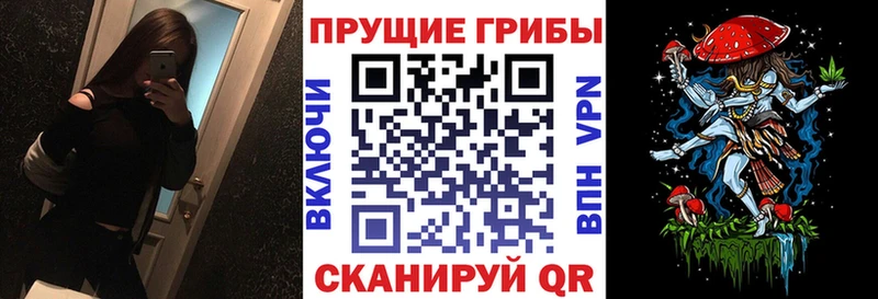 Галлюциногенные грибы Psilocybe Лысьва